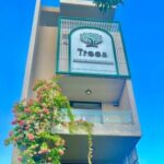 Trees Spa Đà Nẵng – Oasis Thư Giãn & Trị Liệu Giữa Lòng Thành Phố Biển