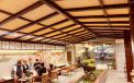hạ spa quận 1