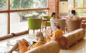 golden lotus healing spa land