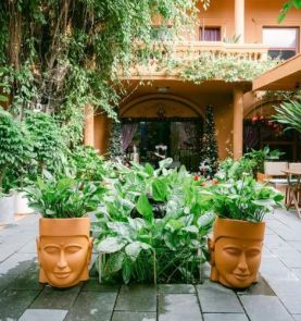 Mộc Hương Wellness Thảo Điền
